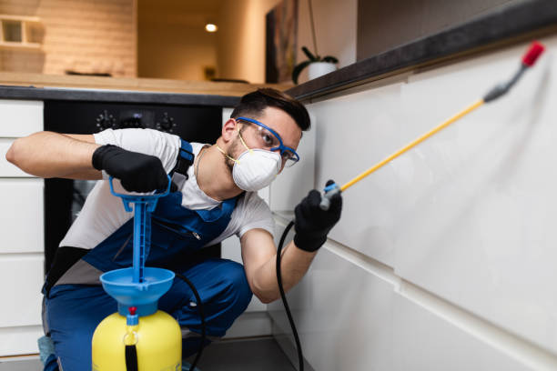 Best Local Pest Control Services  in Meadow Vista, CA