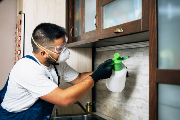 Best Bird Control  in Meadow Vista, CA