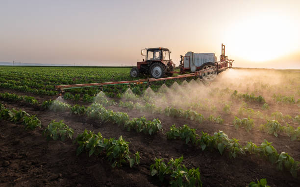 Best Wildlife Control Services  in Meadow Vista, CA